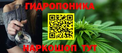 крисы Ипатово