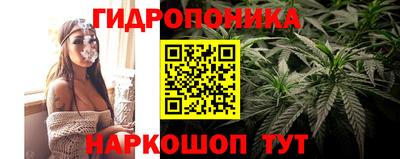 крисы Ипатово