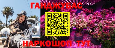 крисы Ипатово