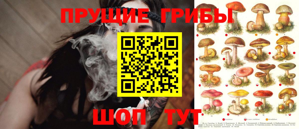 Менделеевск  Галлюциногенные грибы MAGIC MUSHROOMS  Вход с VPN 
